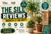 The Sill Reviews (Jul 2026): Is This Premium Plant Delivery Service Worth It?