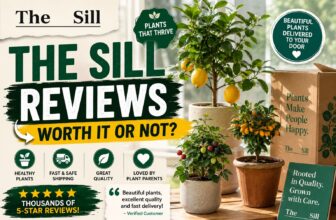 The Sill Reviews (Jul 2026): Is This Premium Plant Delivery Service Worth It?